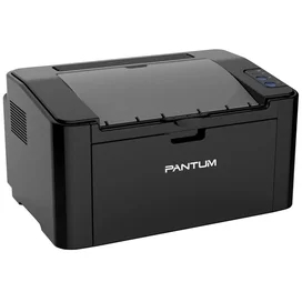 Принтер лазерный Pantum P2500W A4-W фото #2