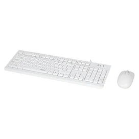 Клавиатура+Мышка проводные USB Rapoo X120PRO White фото #1