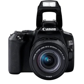 Зеркальный фотоаппарат Canon EOS 250D EF-S 18-55 IS STM фото #1