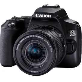 Зеркальный фотоаппарат Canon EOS 250D EF-S 18-55 IS STM фото #2