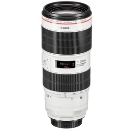 Объектив Canon EF 70-200 mm f/2.8L IS III USM фото #1