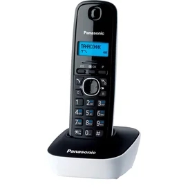 Dect Panasonic KX-TG1611RUW телефоны фото