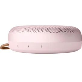 Колонки Bluetooth Bang & Olufsen BeoSound A1 2nd Gen, Pink фото #1