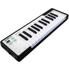 MIDI клавиатура Arturia MicroLab Black (230512) фото #1