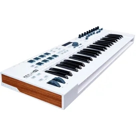 MIDI клавиатура Arturia KeyLab Essential 49 (230521) фото #1