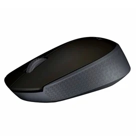 Мышка беспроводная USB Logitech M171 Black, 910-004424 фото #3