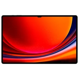 Планшет Samsung Galaxy Tab S9 Ultra 14,6 256GB WiFi + 5G Graphite (SM-X916BZAASKZ) фото #1