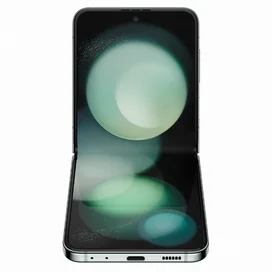 Смартфон GSM Samsung SM-F731BLGGSKZ THX-6.7-12-5 Galaxy Z Flip5 256Gb Mint фото #1