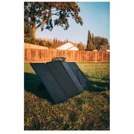 Солнечная панель EcoFlow 160 Вт (EFSOLAR160W) фото #2