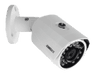 category-icon