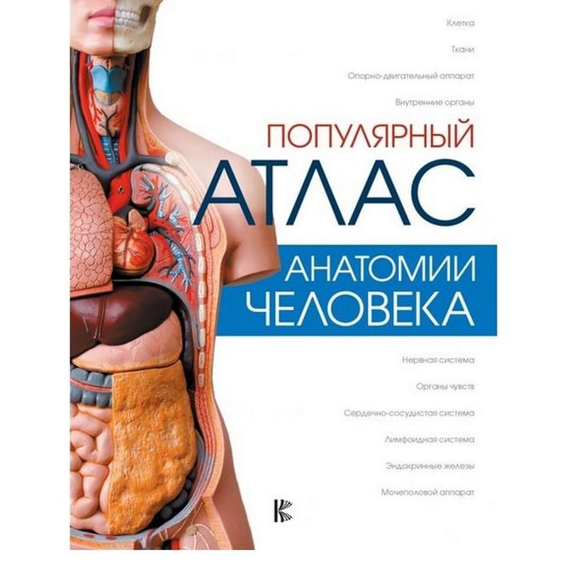 Лучший атлас по анатомии. Популярный атлас анатомии человека. атлас человеческого тела. анатомический атлас человека в картинках. анатомия человека 5 класс.