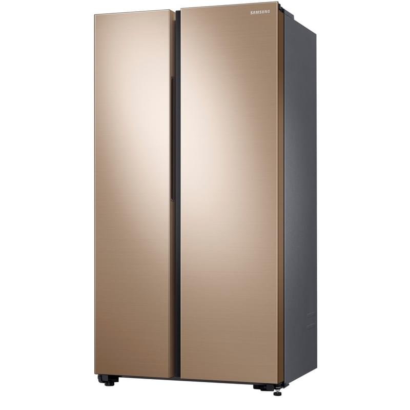 Side-by-Side холодильник Samsung RS-61R5001F8 - фото #2