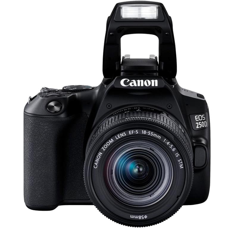 зеркальный фотоаппарат canon eos 250d ef-s 18-55 is stm