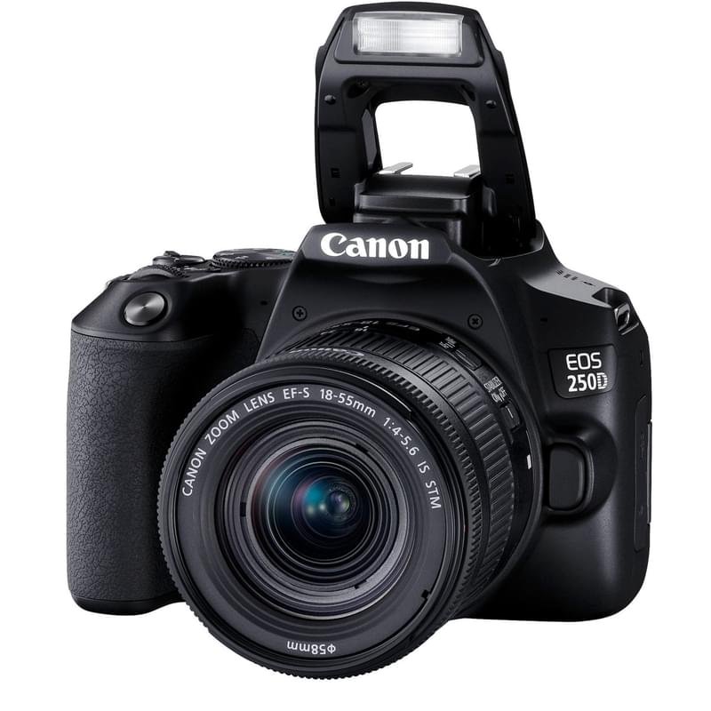 Зеркальный фотоаппарат Canon EOS 250D EF-S 18-55 IS STM - фото #5