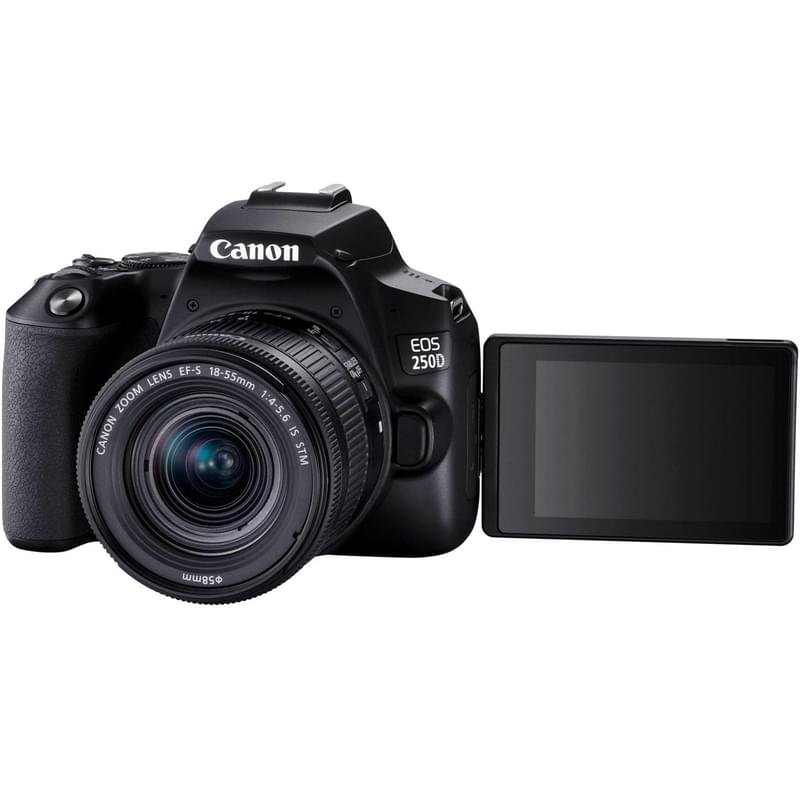 Зеркальный фотоаппарат Canon EOS 250D EF-S 18-55 IS STM - фото #7