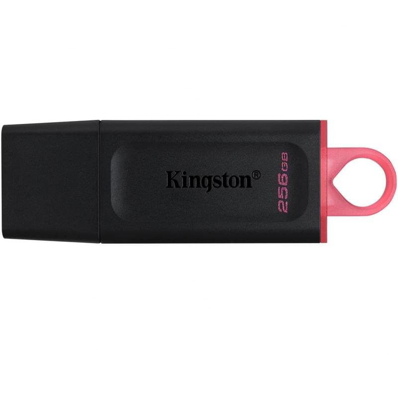 USB Флешка 256GB Kingston USB 3.2 Gen 1 Black (DTX/256GB) - фото #0