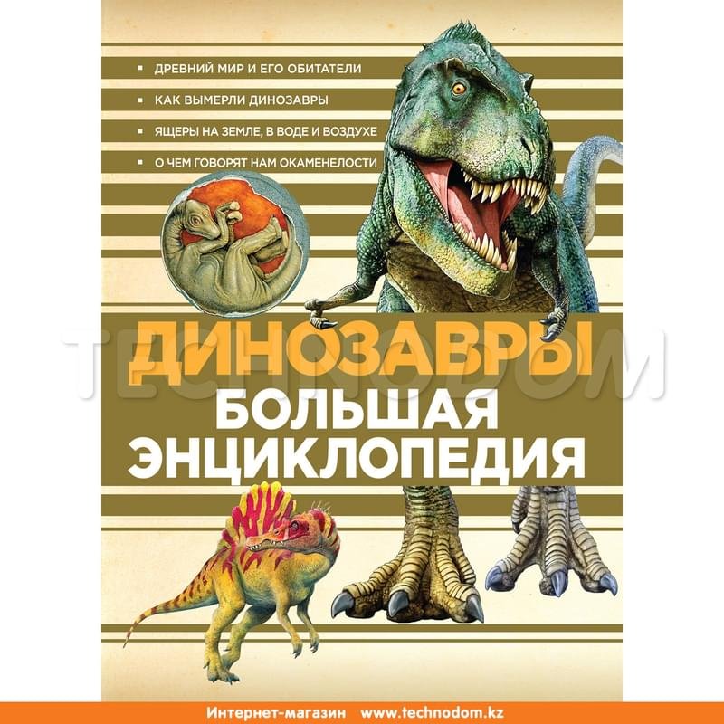 Энциклопедии 2017. Энциклопедия для детей много томов. Энциклопедия. Большая школьная энциклопедия том 2. Людмила соколова: энциклопедия для любознательных.