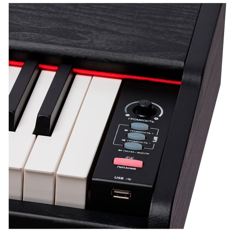 Цифровое пианино ROCKDALE Keys RDP-3088 , 88 клавиш, черный - фото #5