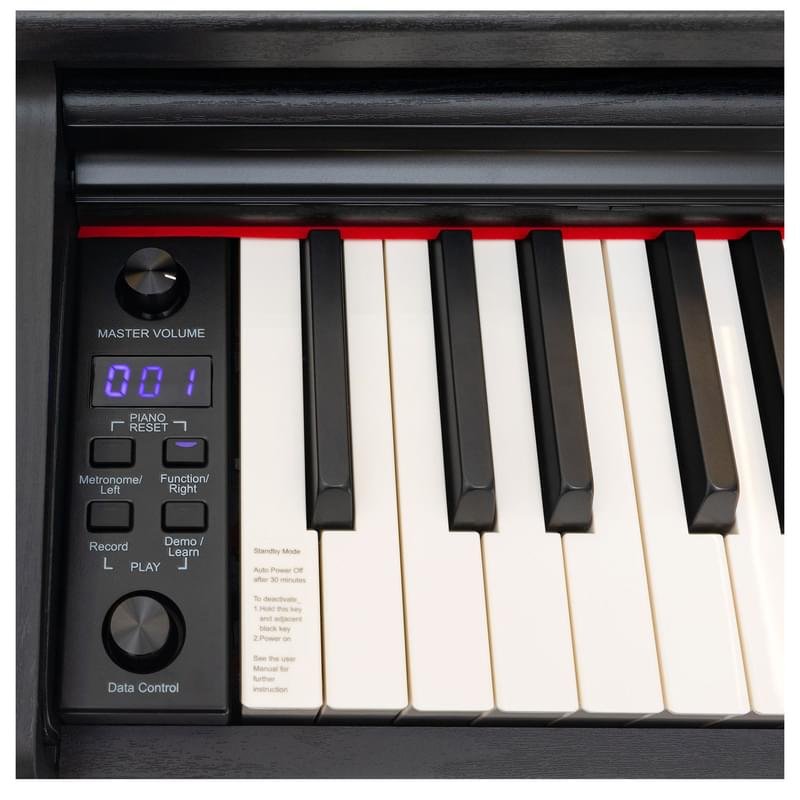 Цифровое пианино ROCKDALE Etude 128 Graded, 88 клавиш, черный - фото #9