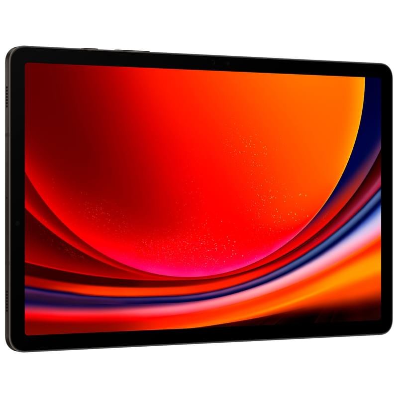 Планшет Samsung Galaxy Tab S9 11" 256GB WiFi + 5G Graphite (SM-X716BZAESKZ) - фото #2