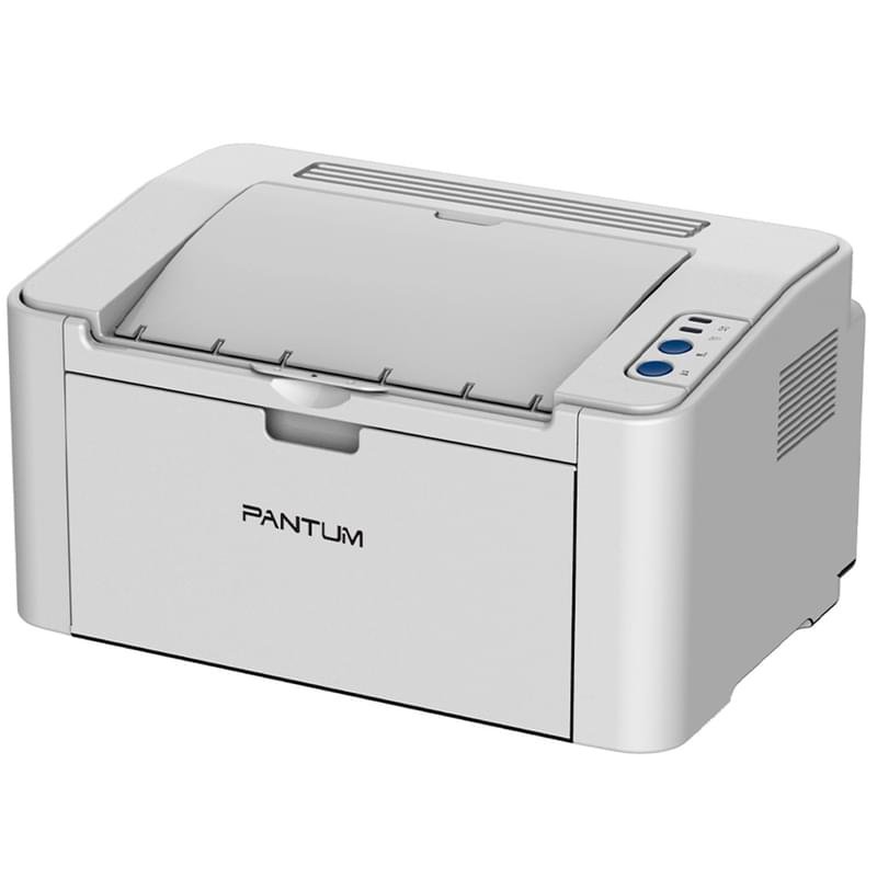 Принтер лазерный Pantum P2200 A4 White - фото #0