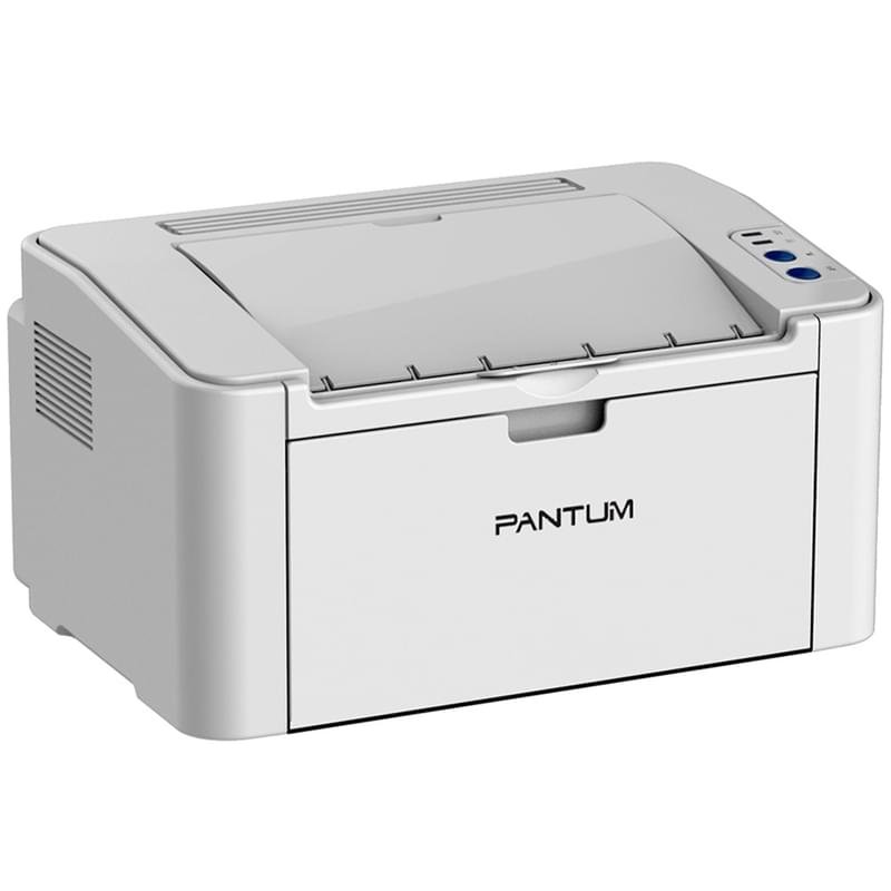 Принтер лазерный Pantum P2200 A4 White - фото #2