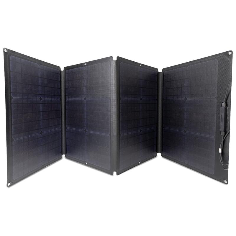 Солнечная панель EcoFlow 110 Вт (EFSOLAR110W) - фото #1