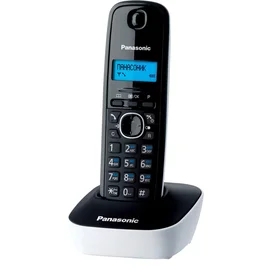 Телефон Dect Panasonic KX-TG1611RUW фото