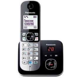 Телефон Dect Panasonic KX-TG6821RUB фото