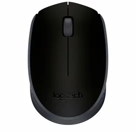 Мышка беспроводная USB Logitech M171 Black, 910-004424 фото