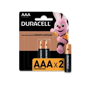 Батарейка Duracell Basic 1.5V LR03/AAA 2 шт фото
