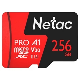 MicroSD 256GB Netac P500 Extreme Pro Жады картасы 100MB/s Class 10, + SD Adapter фото