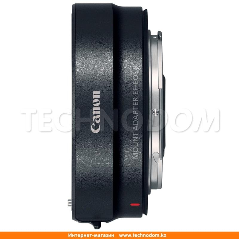 Беззеркальный фотоаппарат Canon EOS R + MT Adapter EF-EOS R - фото #8