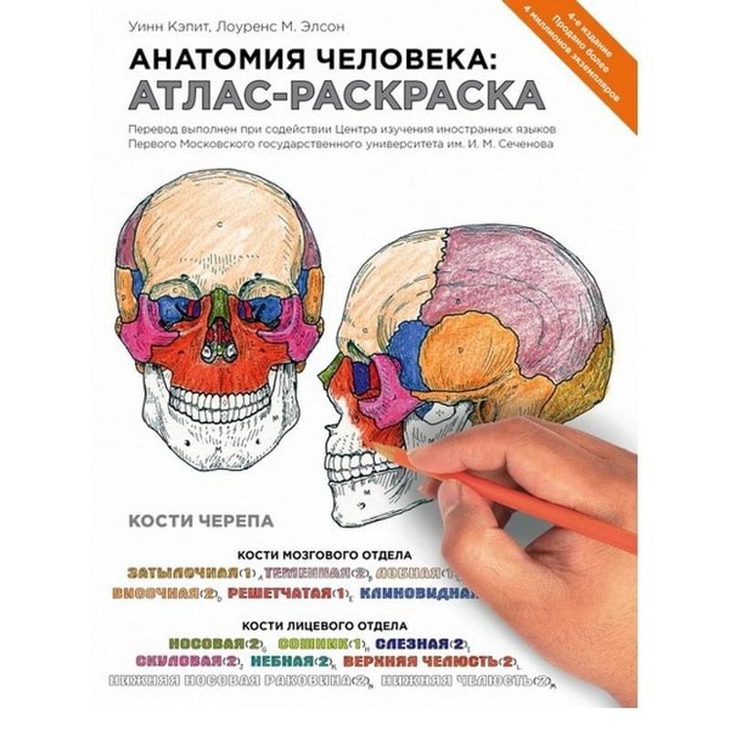 Анатомия человека: атлас-раскраска, Элсон Л., Кэпит У., Медицинский атлас - фото #2