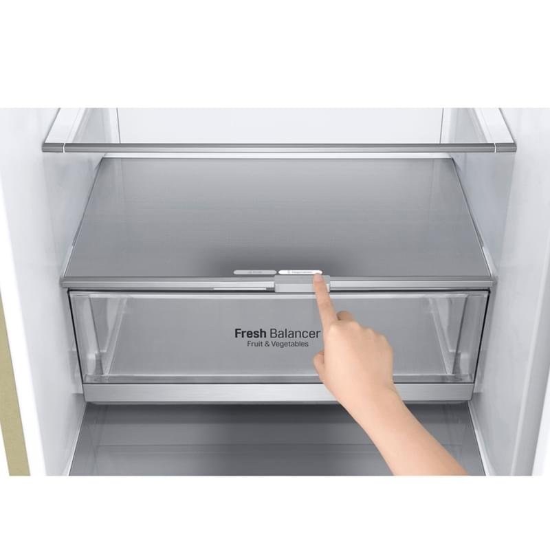 Двухкамерный холодильник LG GA-B509SEDZ - фото #6