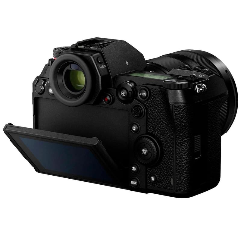 Беззеркальный фотоаппарат Panasonic DC-S1EE-K, Black - фото #10