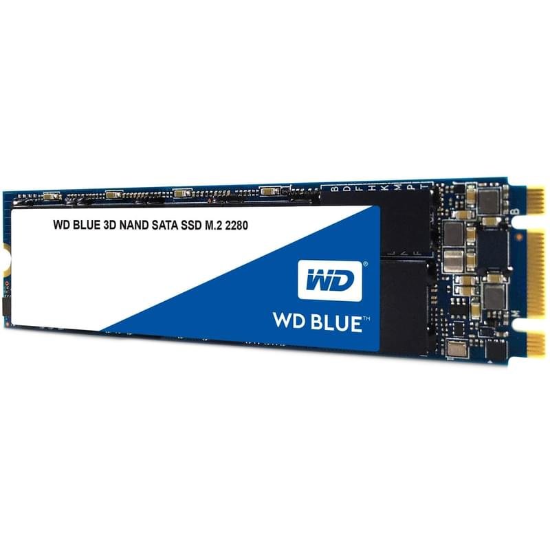 Внутренний SSD M.2 2280 250GB Western Digital Blue SATA-III 3D TLC (WDS250G2B0B) - фото #1
