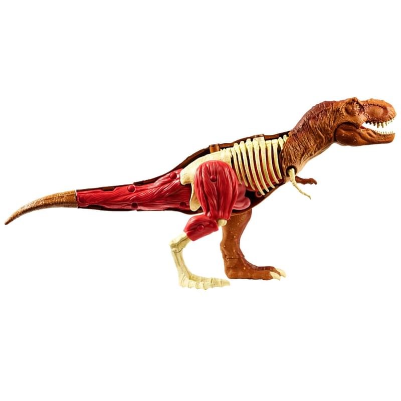 Jurassic World® Игровой набор «Анатомия динозавра» - фото #3