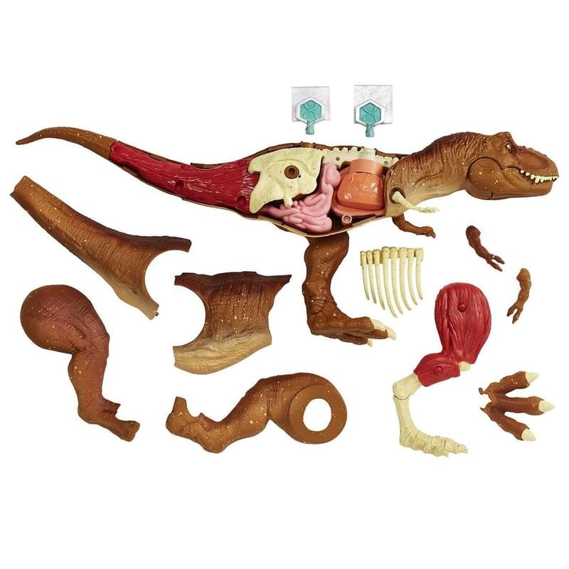 Jurassic World® Игровой набор «Анатомия динозавра» - фото #4