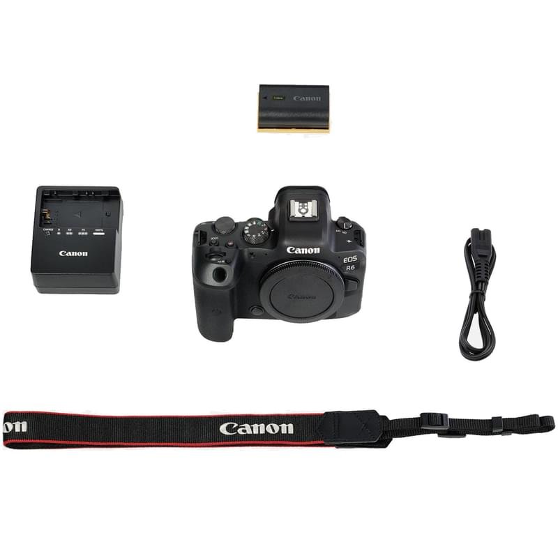 Беззеркальный фотоаппарат Canon EOS R6 Body, Black - фото #8