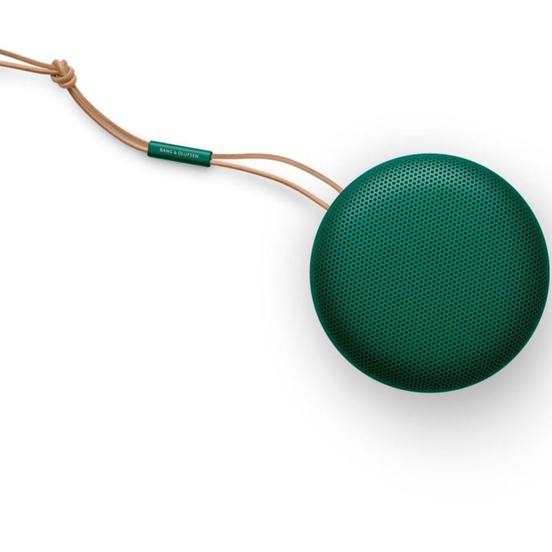Колонки Bluetooth Bang & Olufsen BeoSound A1 2nd Gen, Green - фото #5