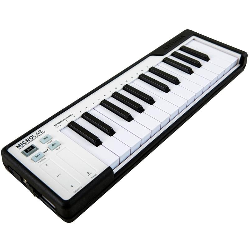 MIDI клавиатура Arturia MicroLab Black (230512) - фото #1