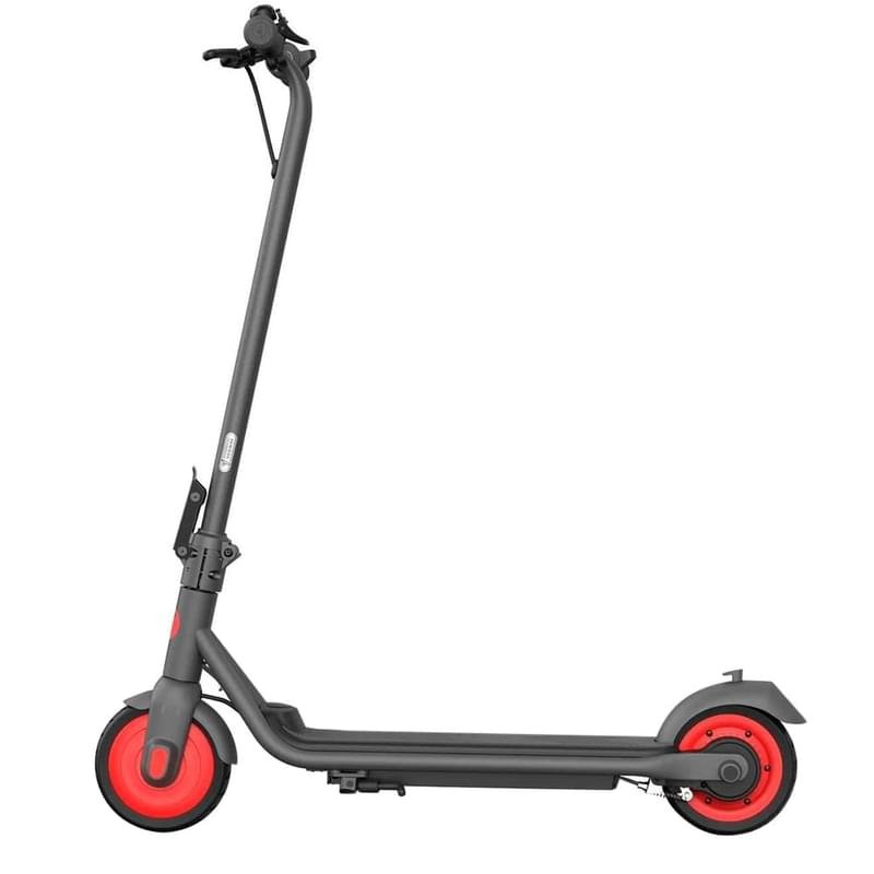 Электросамокат детский Ninebot KickScooter C20 20 км/ч, 75 кг, 20 км, Серый - фото #0