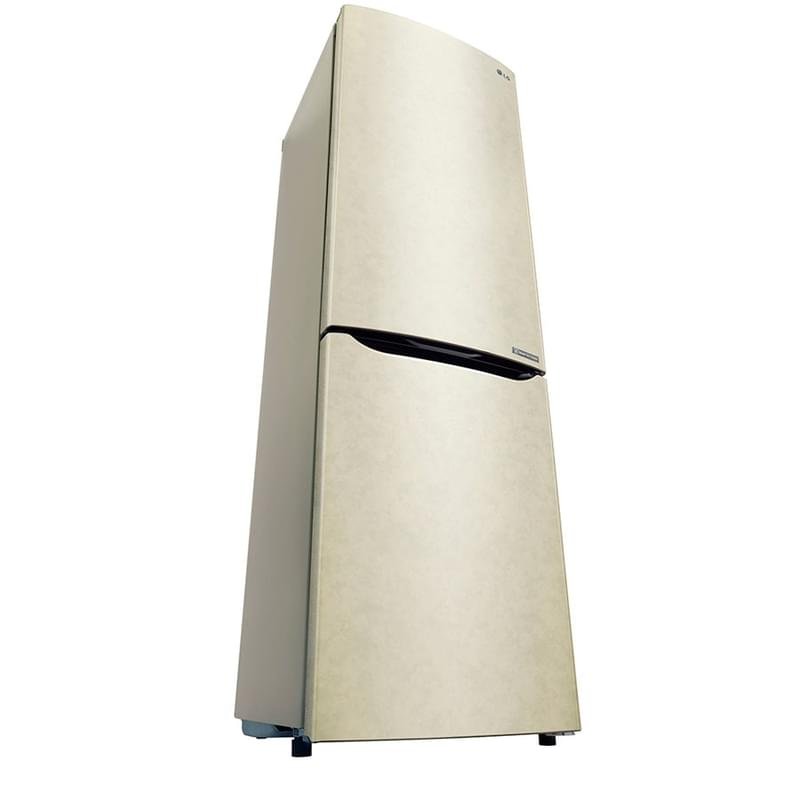 Двухкамерный холодильник LG GA-B429SECZ - фото #1