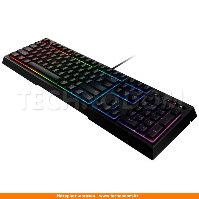 Клавиатура игровая проводная USB Razer Ornata Chroma, RZ03-02040700-R3R1 - фото #6