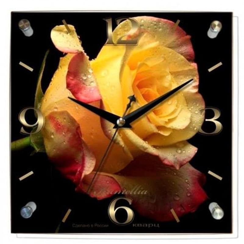 Часы настенные Камелия 835 Роза - фото #0