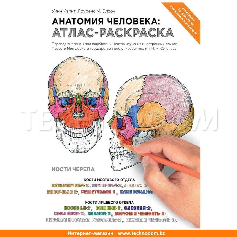Анатомия человека: атлас-раскраска, Элсон Л., Кэпит У., Медицинский атлас - фото #0