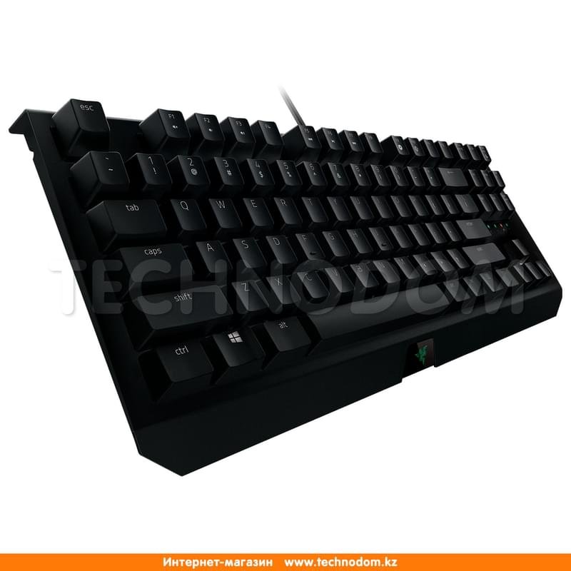 Клавиатура игровая проводная USB Razer BlackWidow X Tournament, RZ03-01770400-R3R1 - фото #3