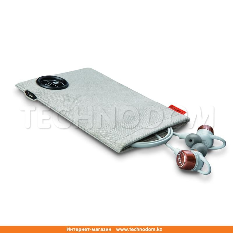 Наушники Вставные Plantronics Bluetooth BackBeat Go 3 + Зарядный футляр, Orange (204353-05) - фото #1