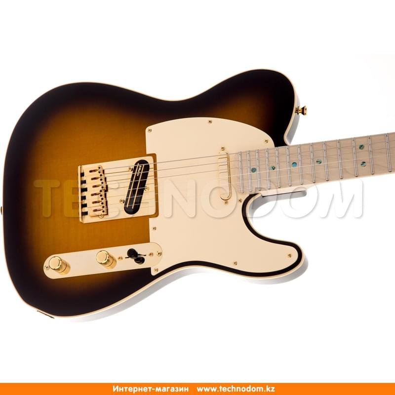 Электро гитара Fender  Richle Kotzen Tele MN BSB 025-5202-532 - фото #5